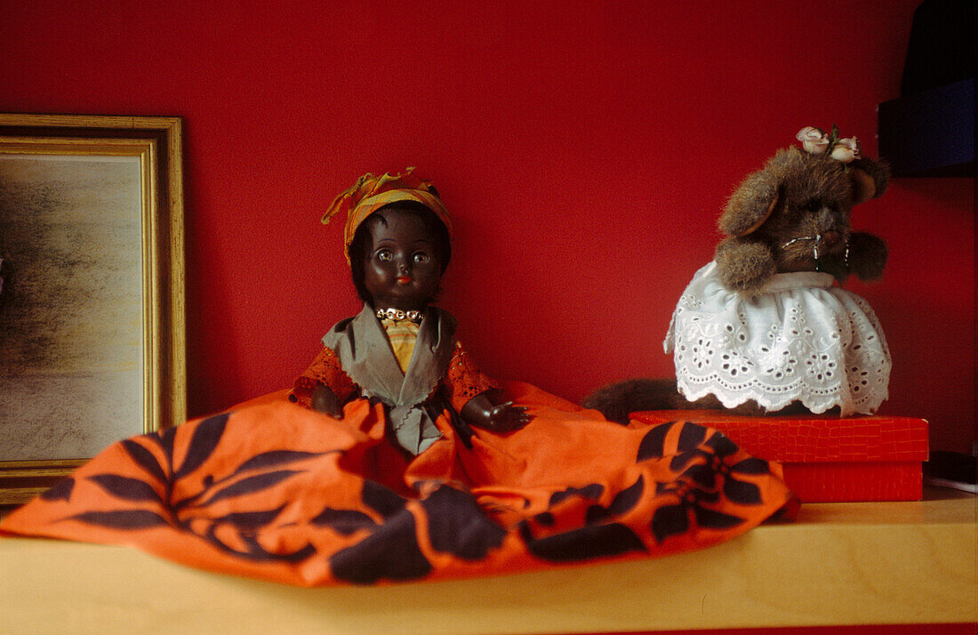 Close up of black doll in traditional costume and furry toy on shelf in teenager's magenta pink bedroom