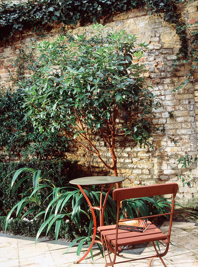 Rot gestrichene Gartenmöbel in einem ummauerten Garten in London