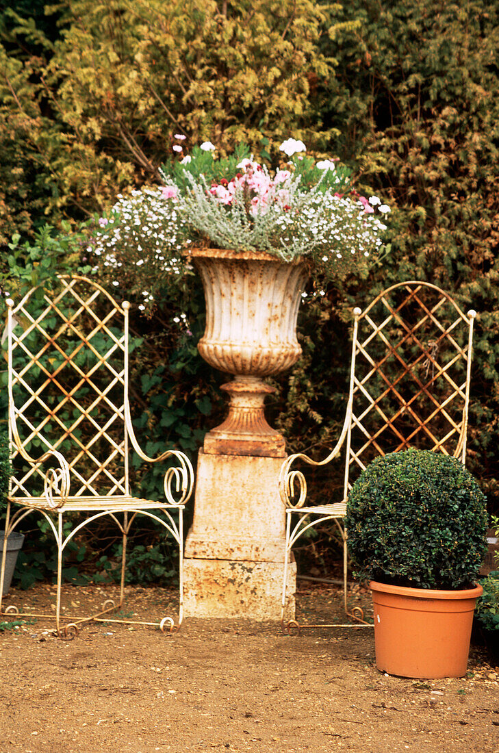 Zwei lackierte, rostige Gartenstühle aus Gusseisen in einem formalen Garten mit Topfpflanzen