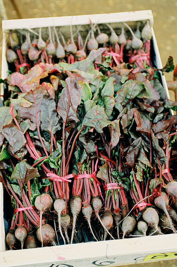 Freshly picked and boxed beetroot