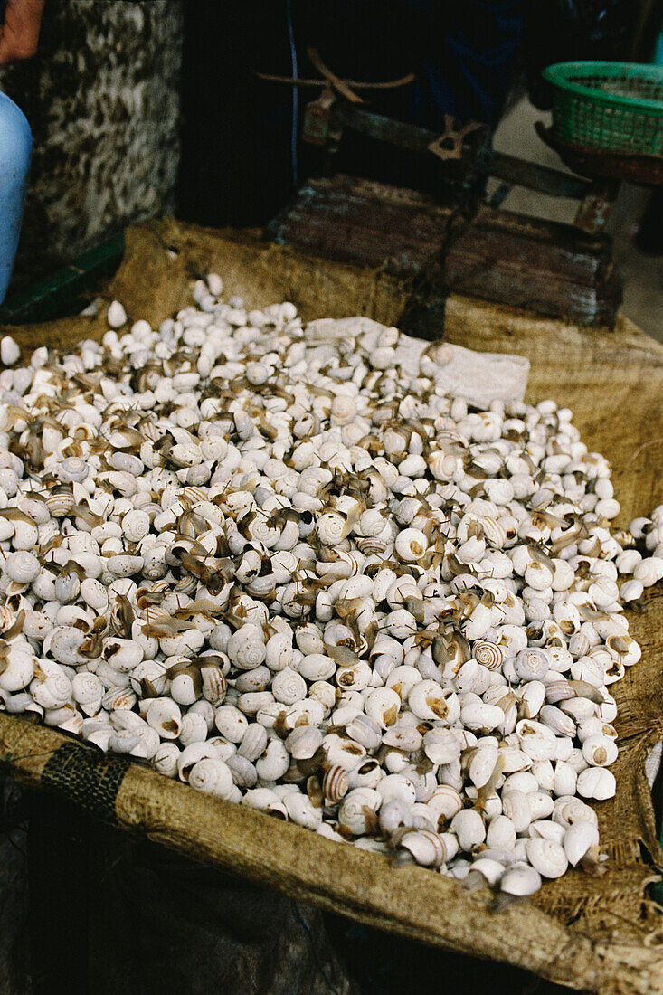 Snails in a container at a market stall in the medina Fez Morocco