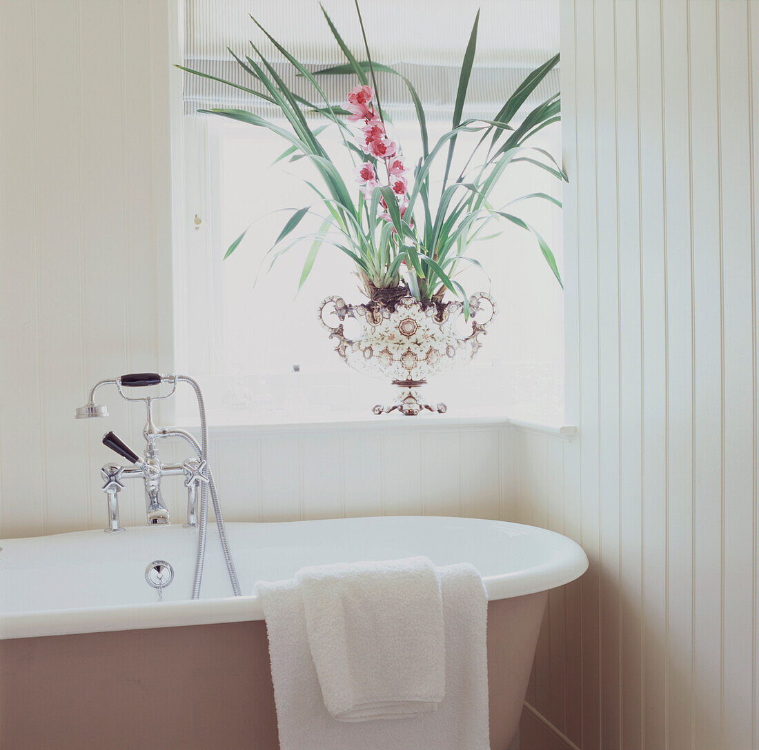 Badewanne mit Duschaufsatz in einem cremefarbenen Bad mit Nut und Feder Eine farbenfrohe Ausstellung rosa Orchideen in einem dekorativen Sitz auf der Fensterbank