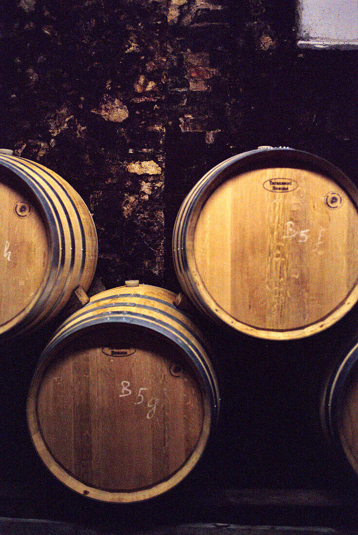 Barrels with wine in basement