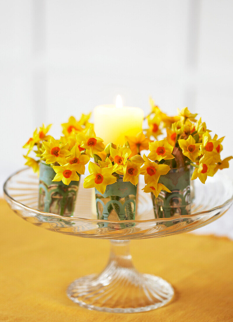 Tischdekoration mit Narzissen und Kerze auf gläsernem Tortenständer