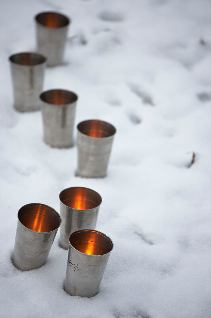 Metallische Teelichter im Schnee