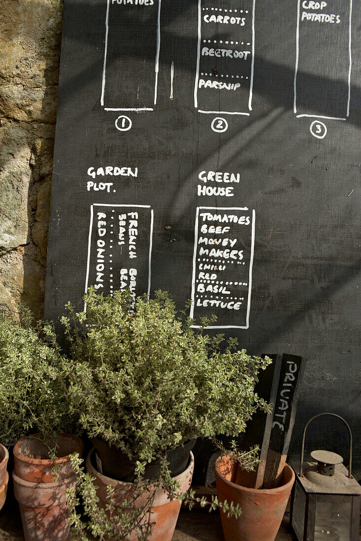 Blackboard with vegetable plot plans in a green house