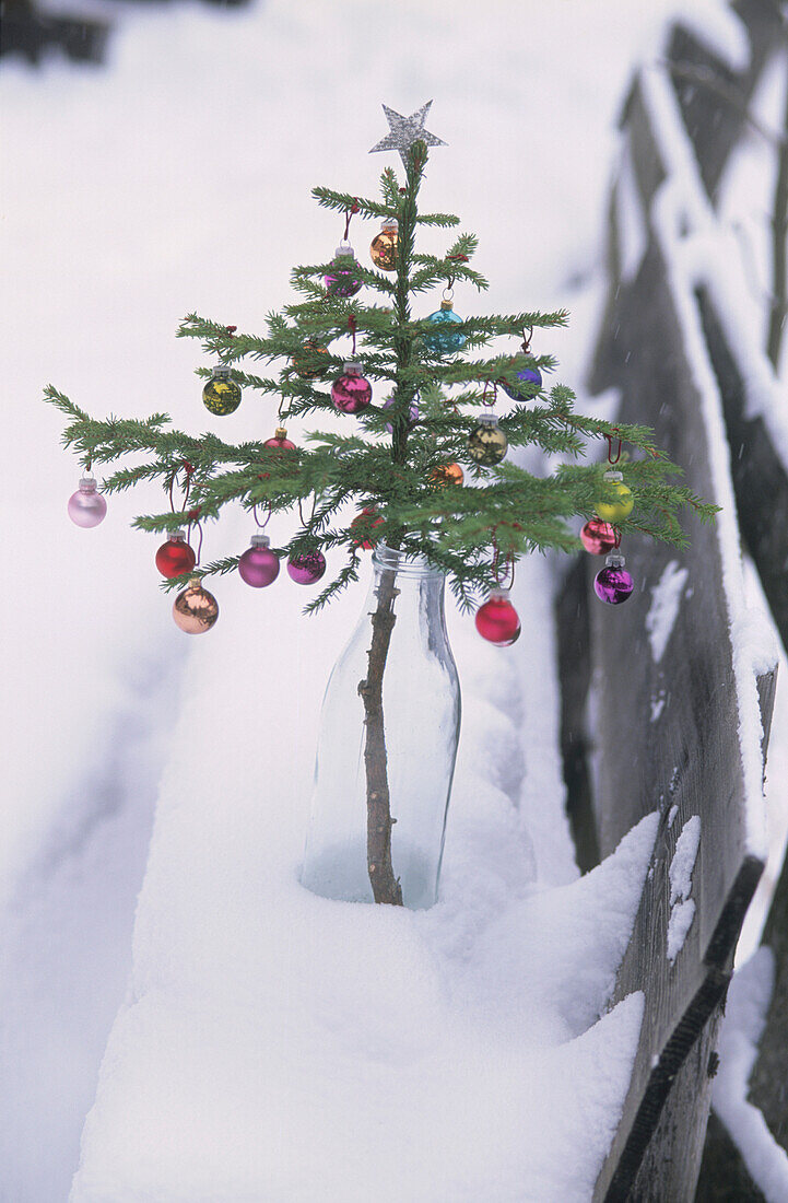 Decorated Spruce branch in a milk bottle