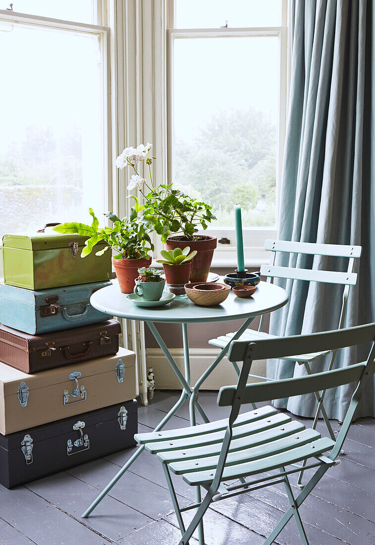 Houseplants on table with folding chairs and vintage suitcases in window of Rye family home, East Sussex, England, UK