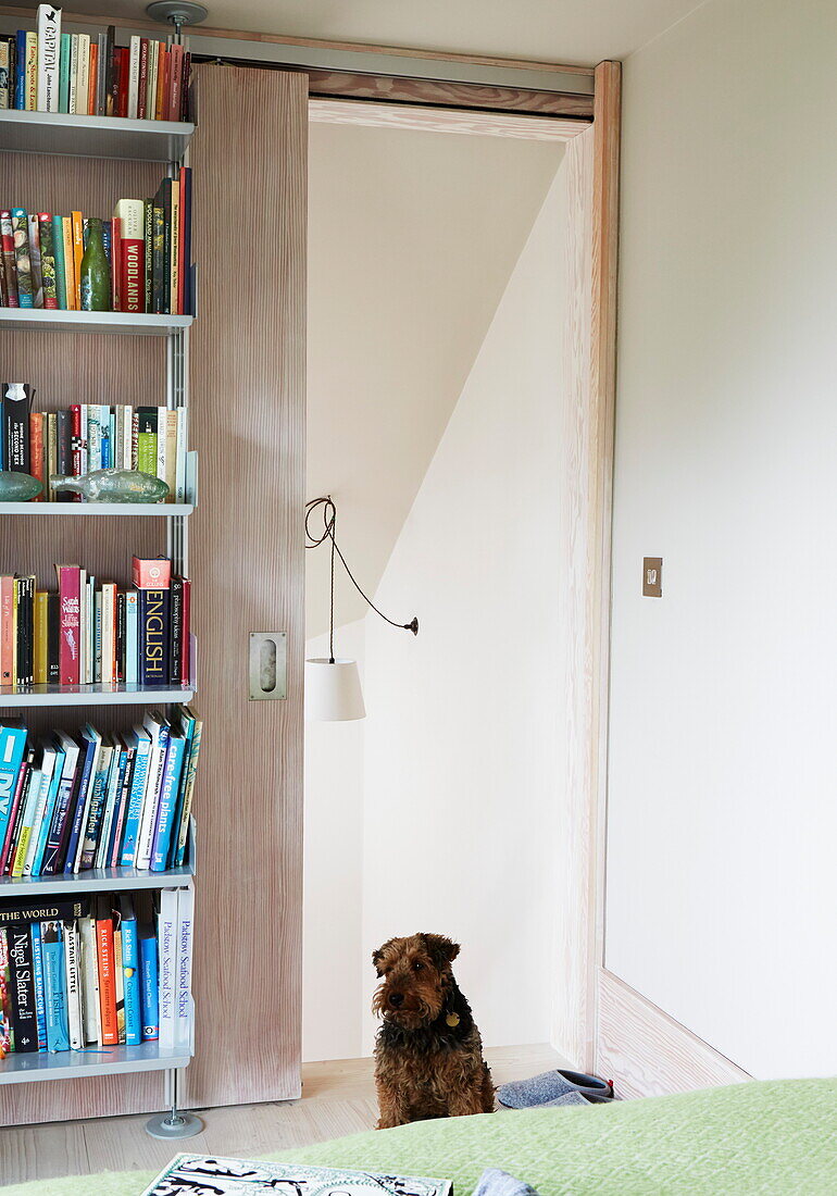 Hund sitzt in einer Schlafzimmertür mit Bücherregal in einem modernen Haus in London, England, UK