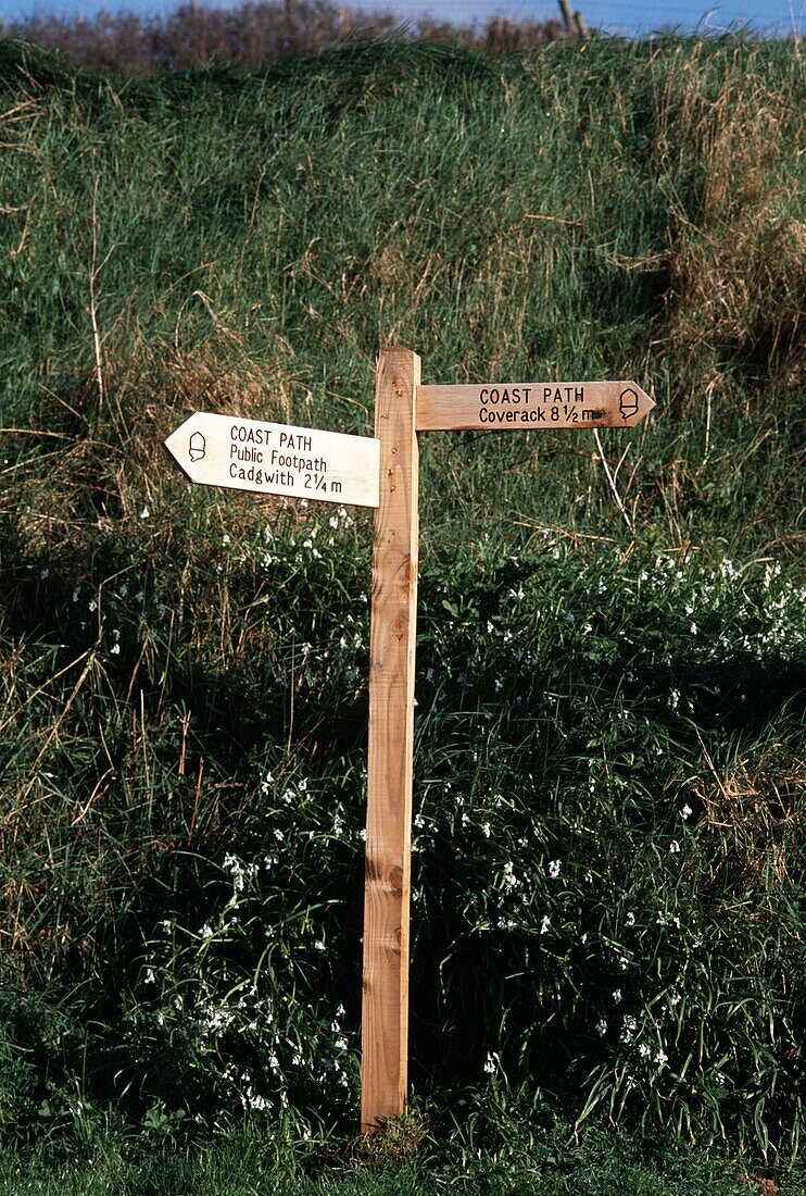 Wooden directional sign in grass