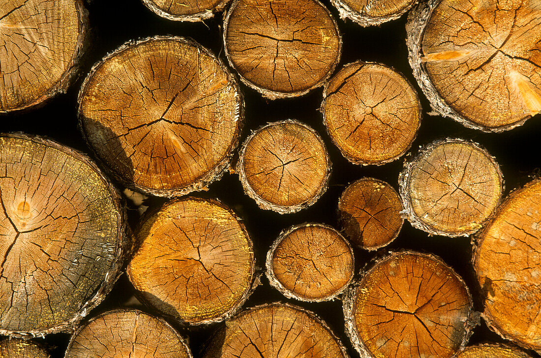 Detail von dicht gestapelten Holzscheiten in einem Holzstapel
