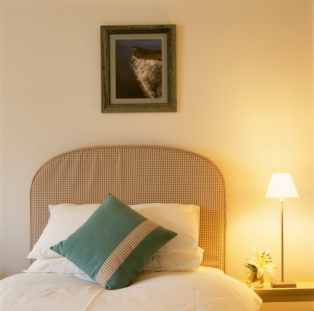 Checked headboard on single bed under artwork with lit bedside lamp