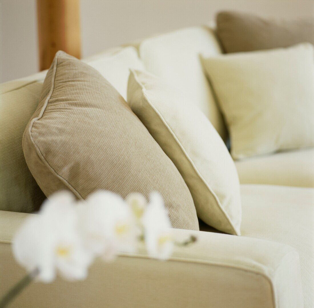 Neutral coloured cushions on sofa with orchid
