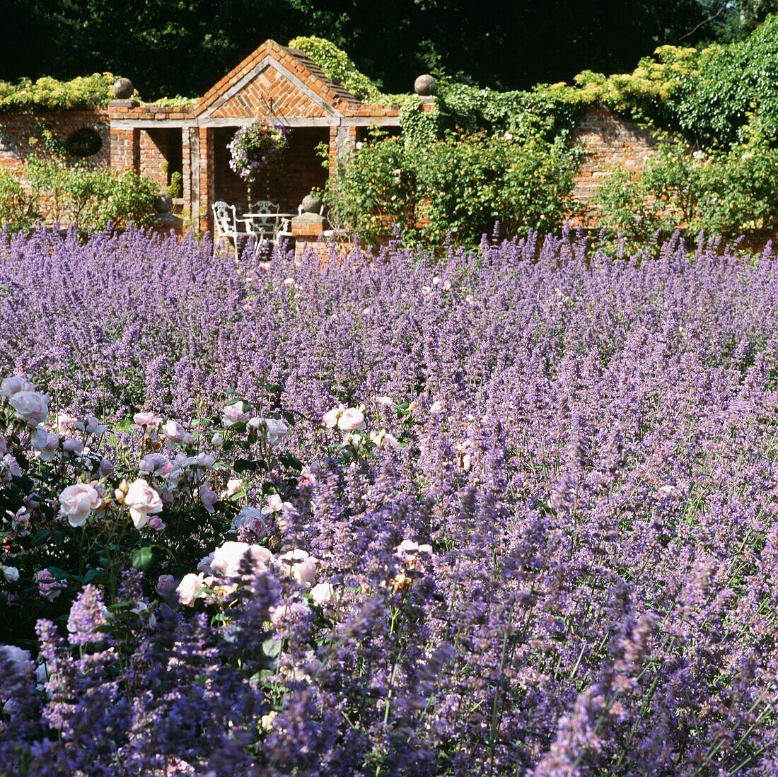 Gartenmöbel in einer gemauerten Pergola mit Lavendelfeldern