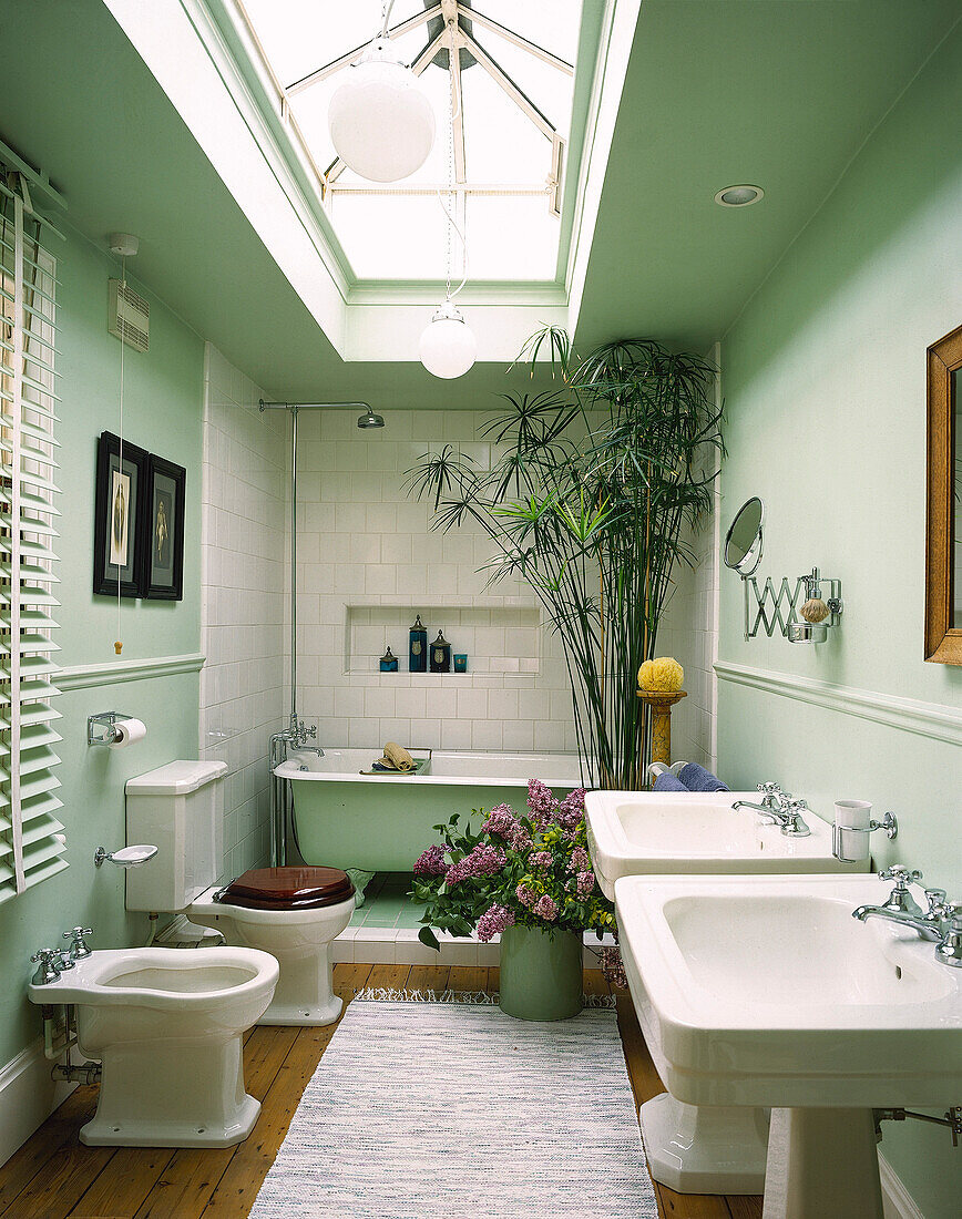 Skylight above elegant white tiled bathroom with papyrus plant