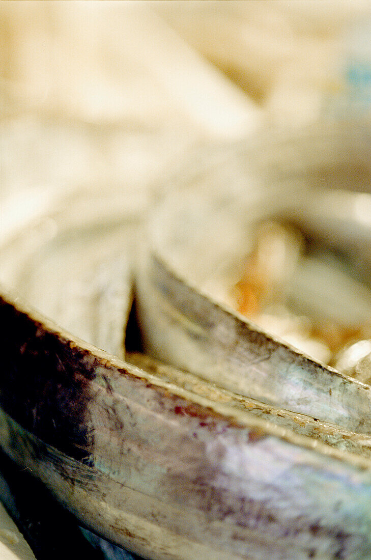 Silberne Aale auf einem Fischstand auf dem Markt in Salamanca