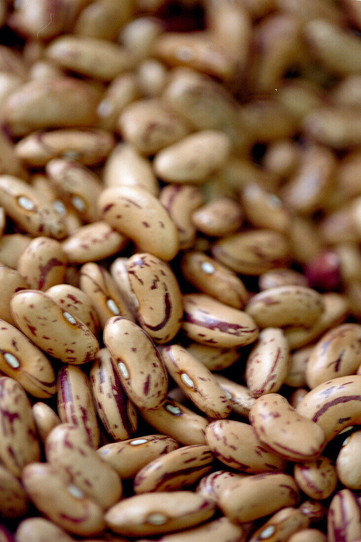 Borlotti beans 