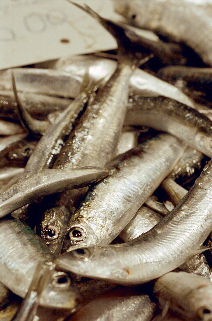 Frische Sardinen im Verkauf auf dem Boqueria-Markt in Barcelona