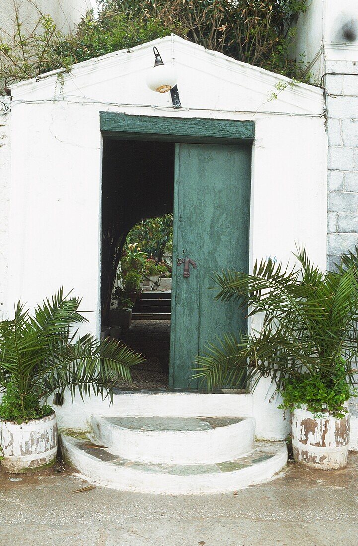 Kleine Palmen neben einem weiß getünchten Eingang mit blaugrüner Tür