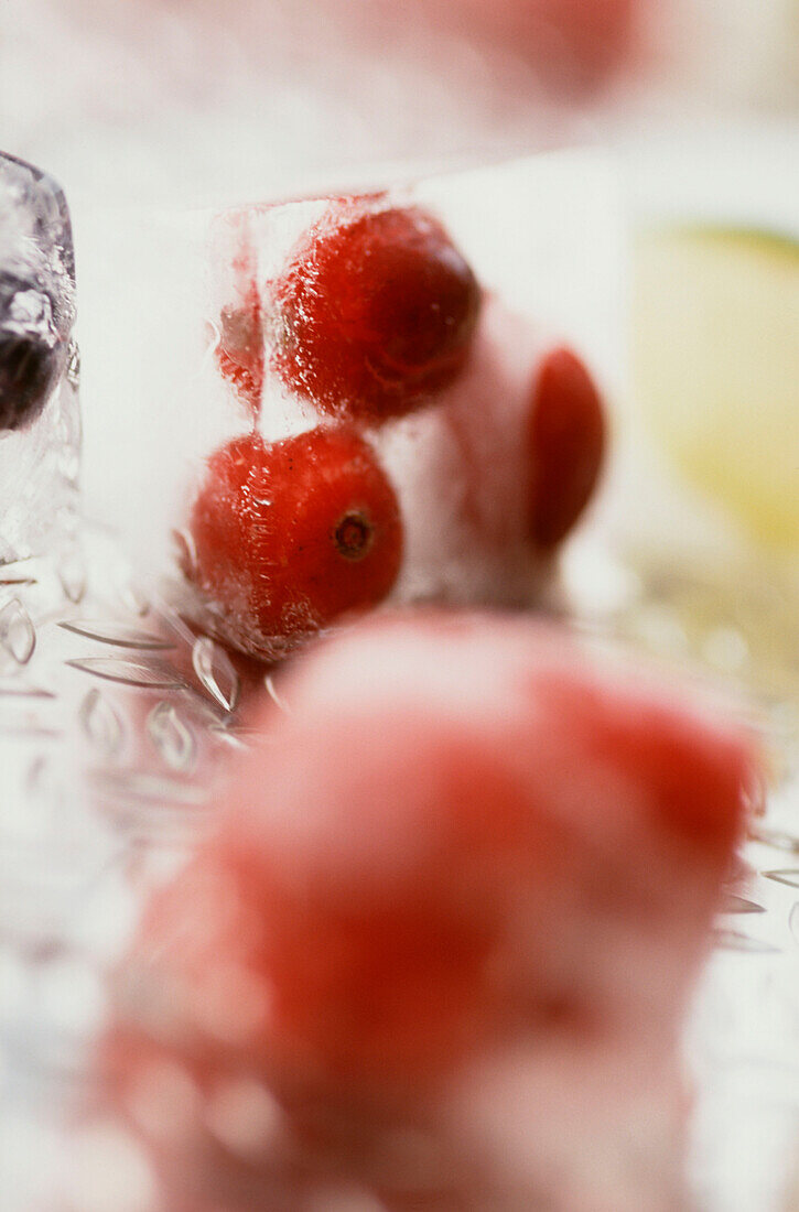 Ice cubes with fruit frozen inside on metal tray
