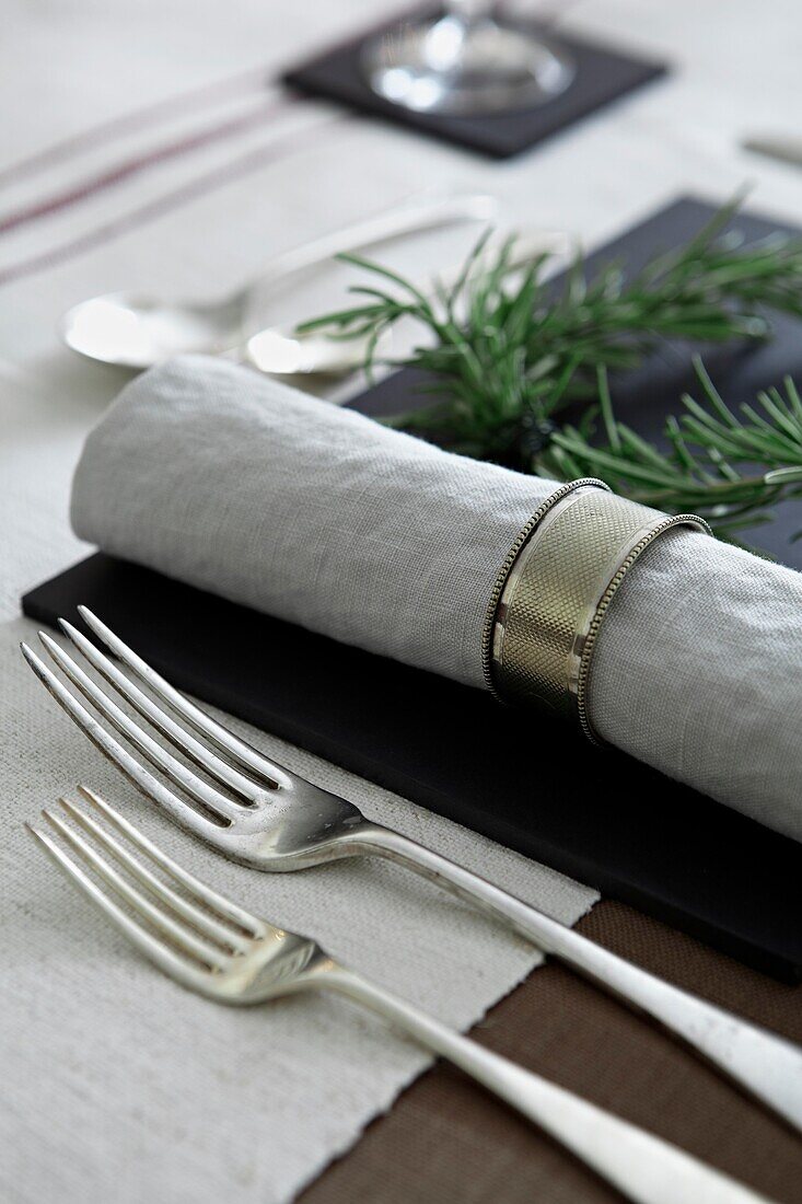 Silver cutlery and napkin at place setting
