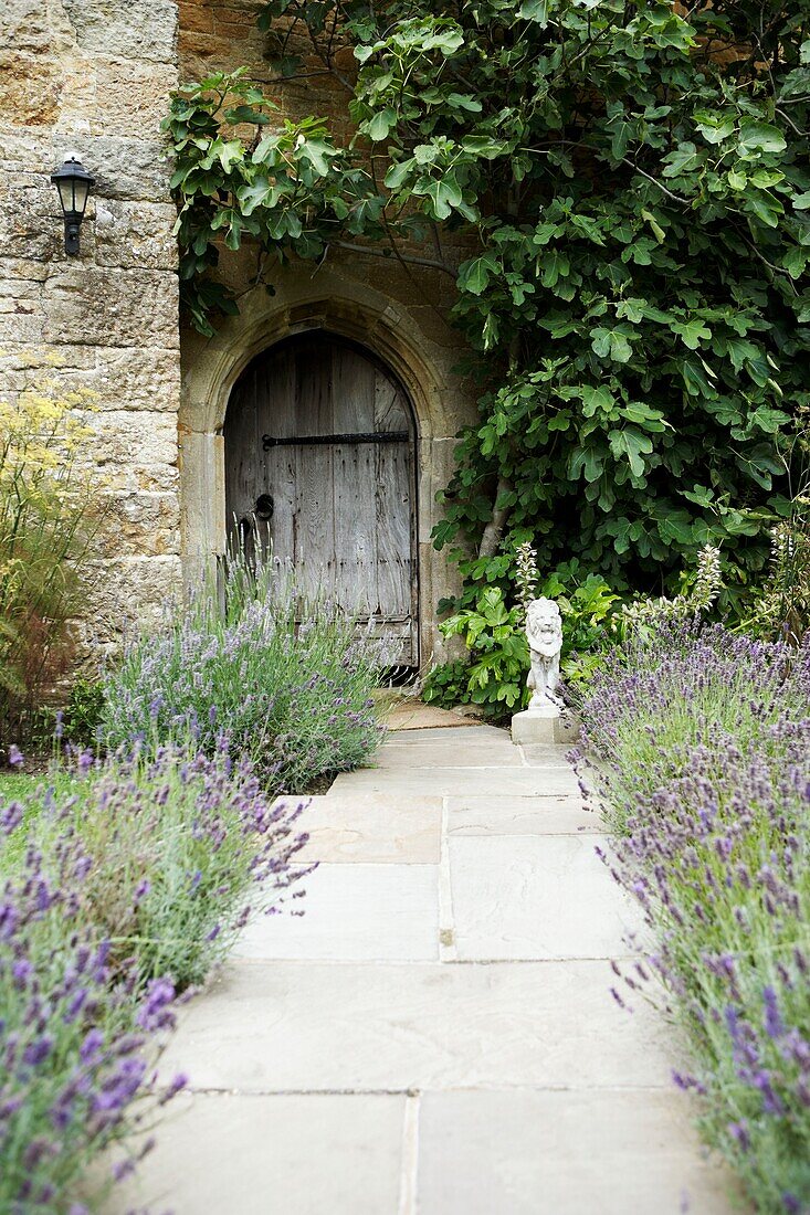 Gepflasterter Weg zum Tor mit Lavendel im ummauerten Garten
