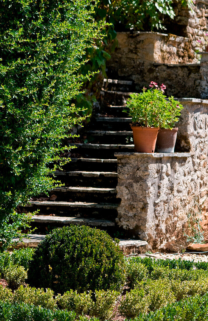 Stone stairs in garden