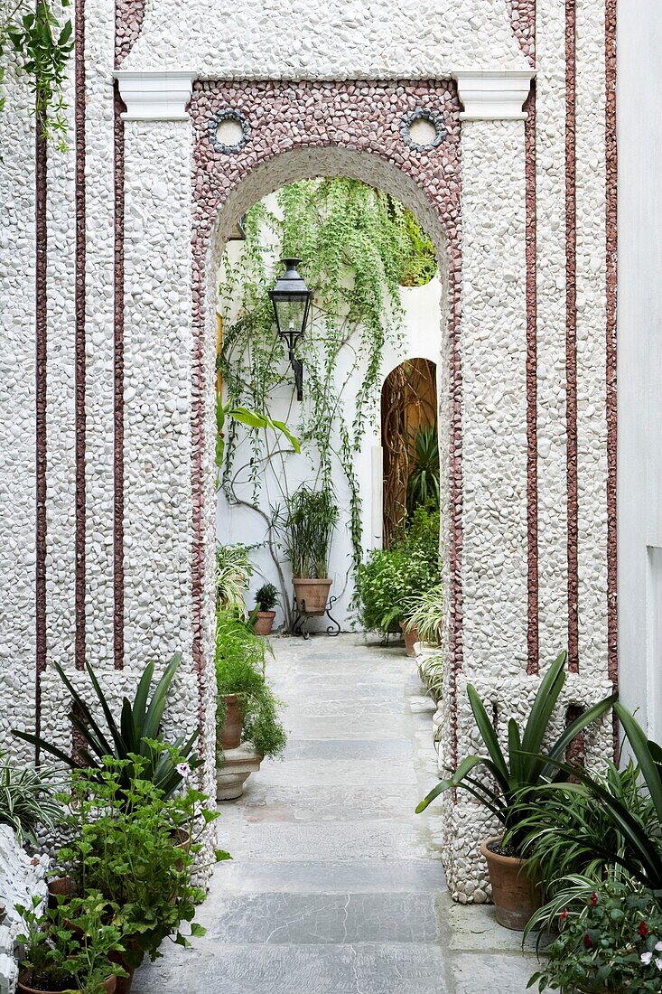 Courtyard garden with planters and lantern