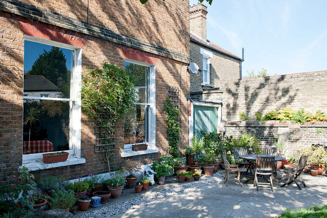 Topfpflanzen und Spalier im ummauerten Garten des Hauses in Greenwich, London, England, UK