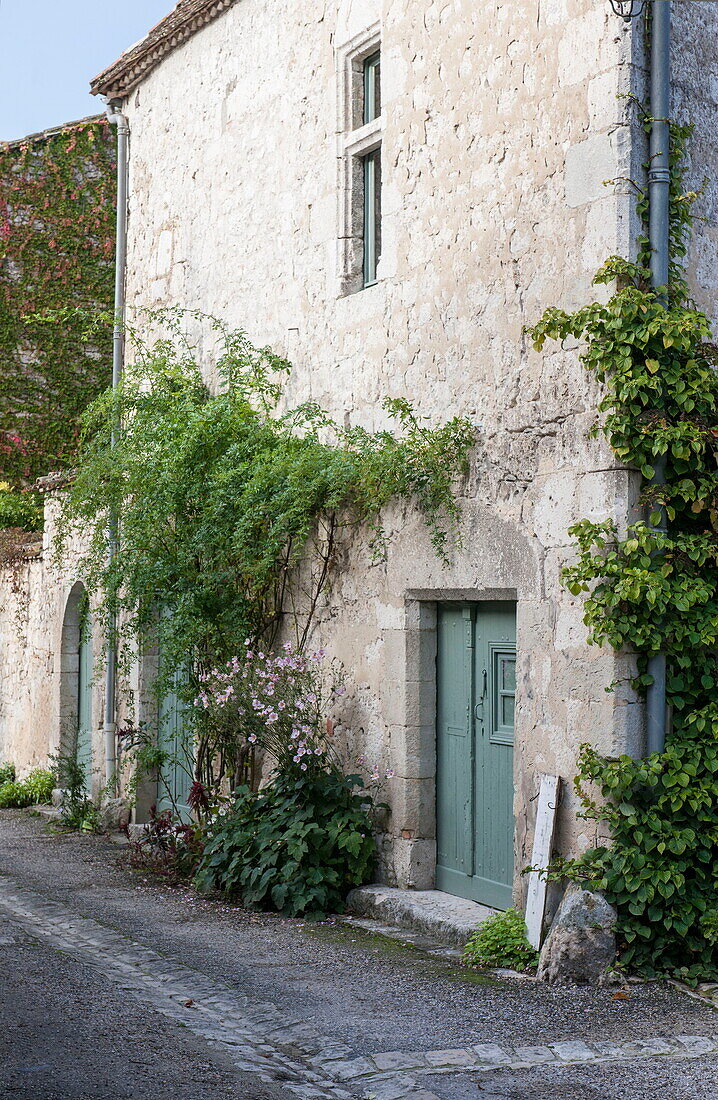 Old stone farmhouse exterior with climbing plants,  Dordogne,  France