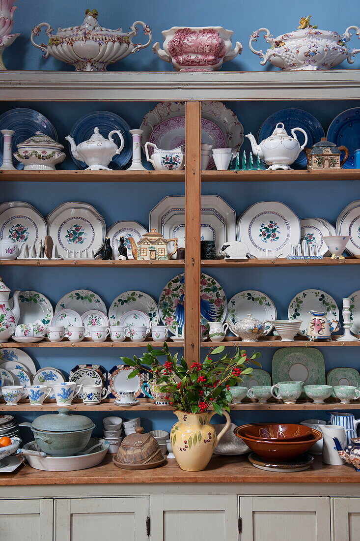 Assorted chinaware on shelf in Tiverton farmhouse kitchen  Devon  UK