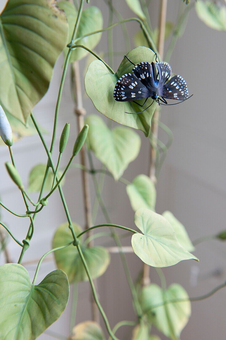 Künstliche Pflanze mit Schmetterling in einem Wohnhaus in Bordeaux, Aquitanien, Frankreich