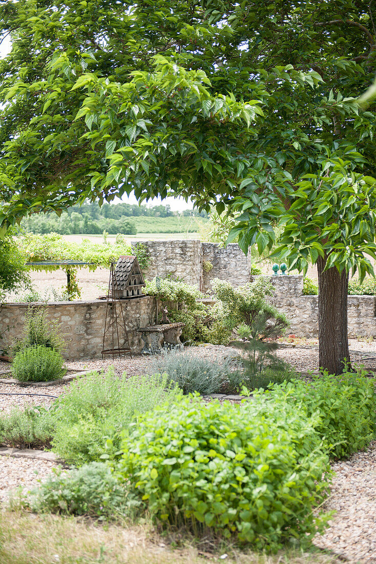 Kräutergarten und Baum auf dem Gelände eines Bauernhauses in Lotte et Garonne Frankreich
