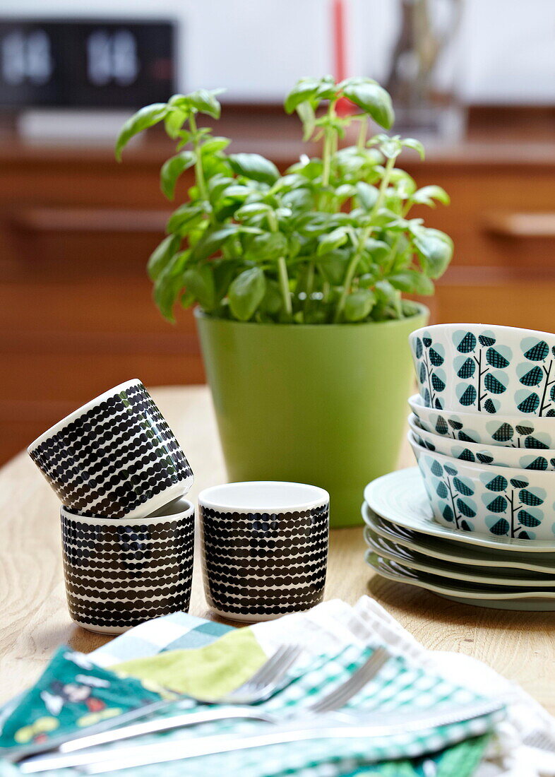 Vintage cups and bowls with a pot of basil on table in London family home  England  UK