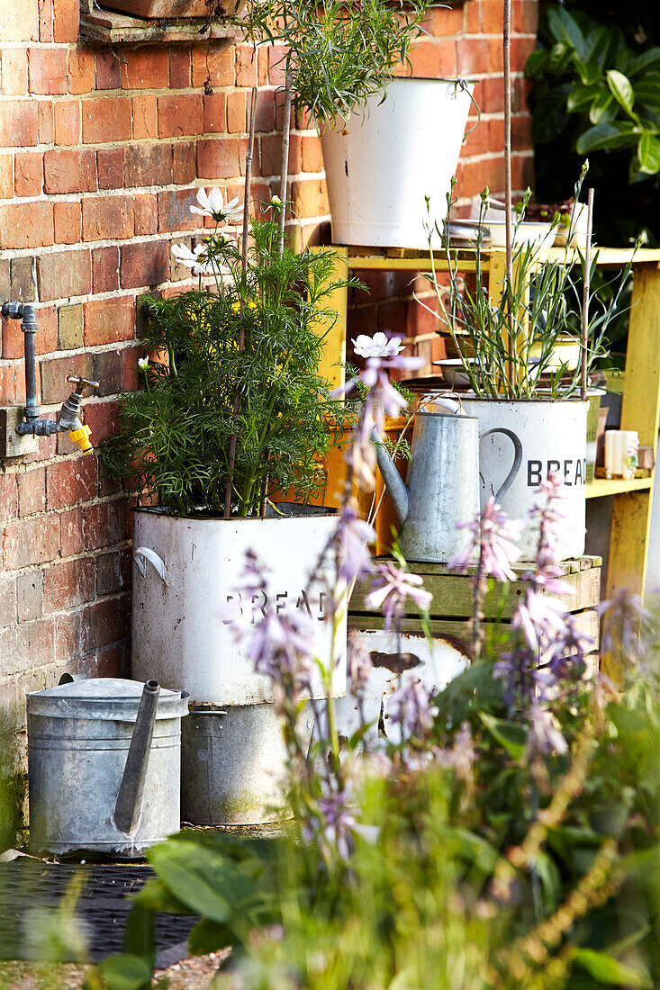 Gartenpflanzen und Wasserhahn mit Gießkanne vor dem Bauernhaus von Brabourne, Kent, Großbritannien