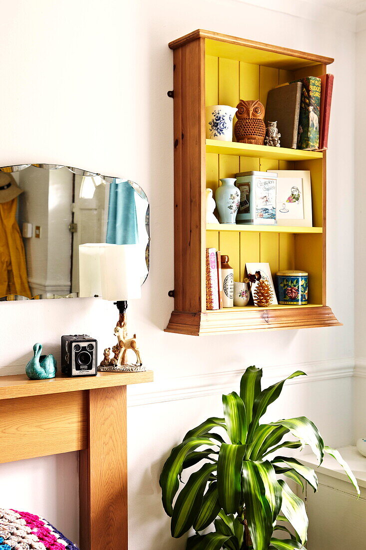 Wall mounted shelving and houseplant in  Birmingham home  England  UK