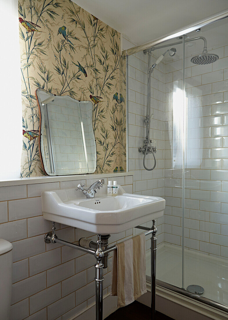 White washbasin with bird print roller blind and glass shower cubicle in contemporary London bathroom   England   UK