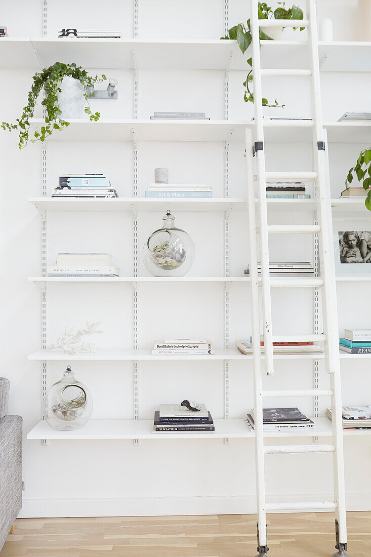 Open shelving with ladder in London home  UK