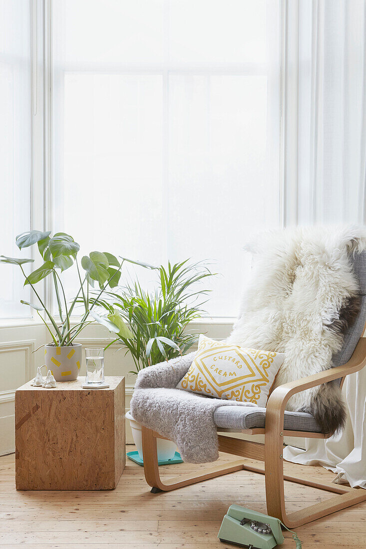 Hellgrauer Sessel mit Fellüberwürfen und Zimmerpflanzen im Erker des Hauses in Alloa, Schottland, UK