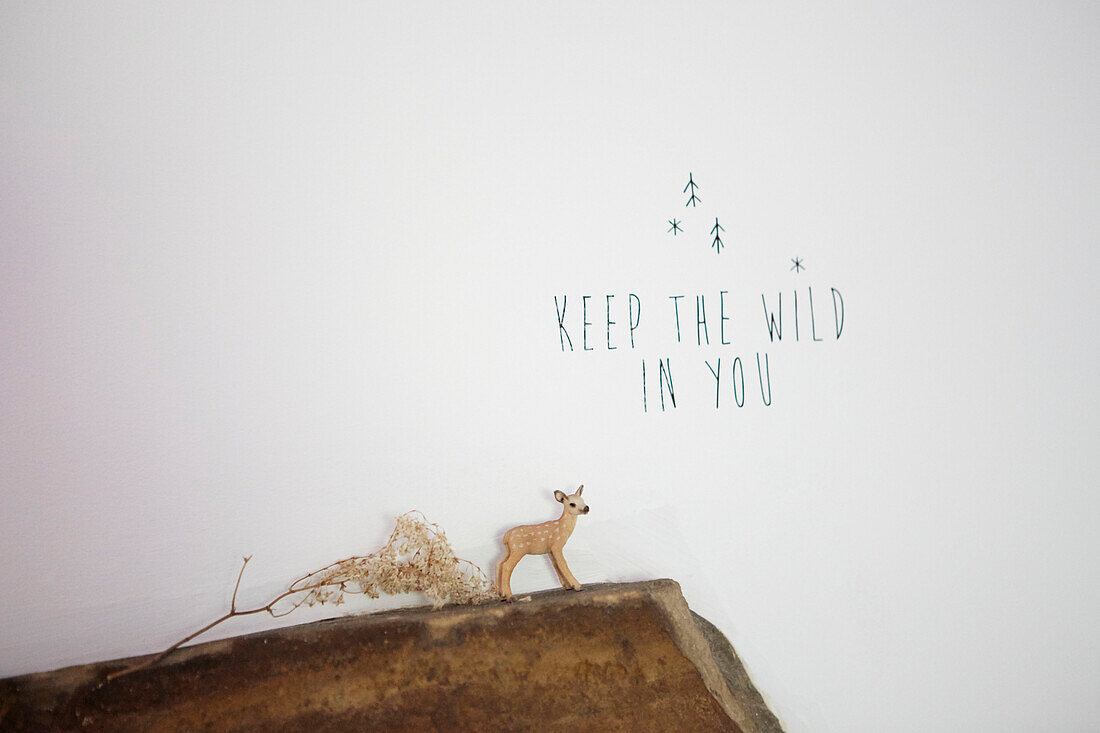Fawn and dried flowers with 'Keep the Wild In You'  West Yorkshire  UK