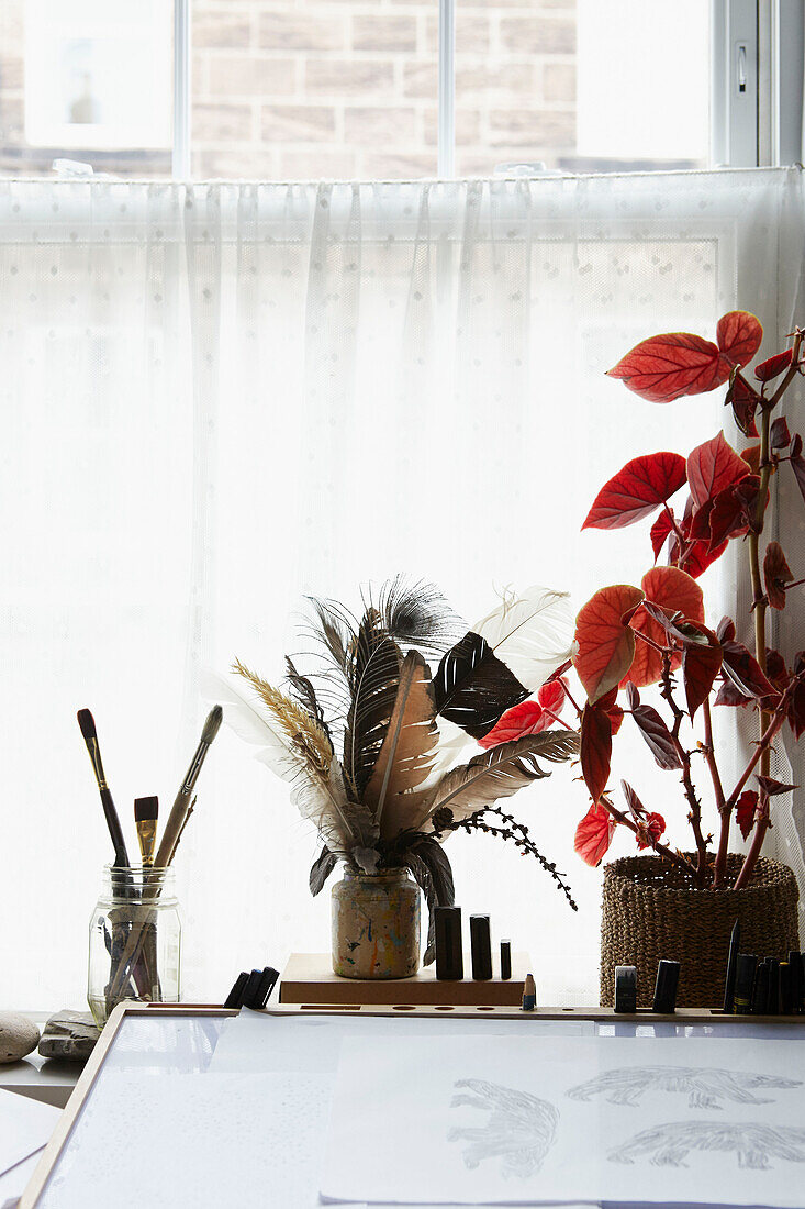 Pinsel und Federn mit Zimmerpflanze im Fenster des Hauses Berwick Upon Tweed in Northumberland UK