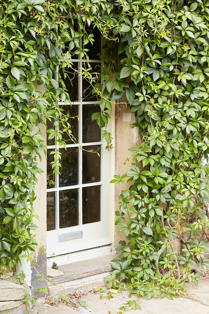 Overgrown glass-paned doorway of West Yorkshire home  UK
