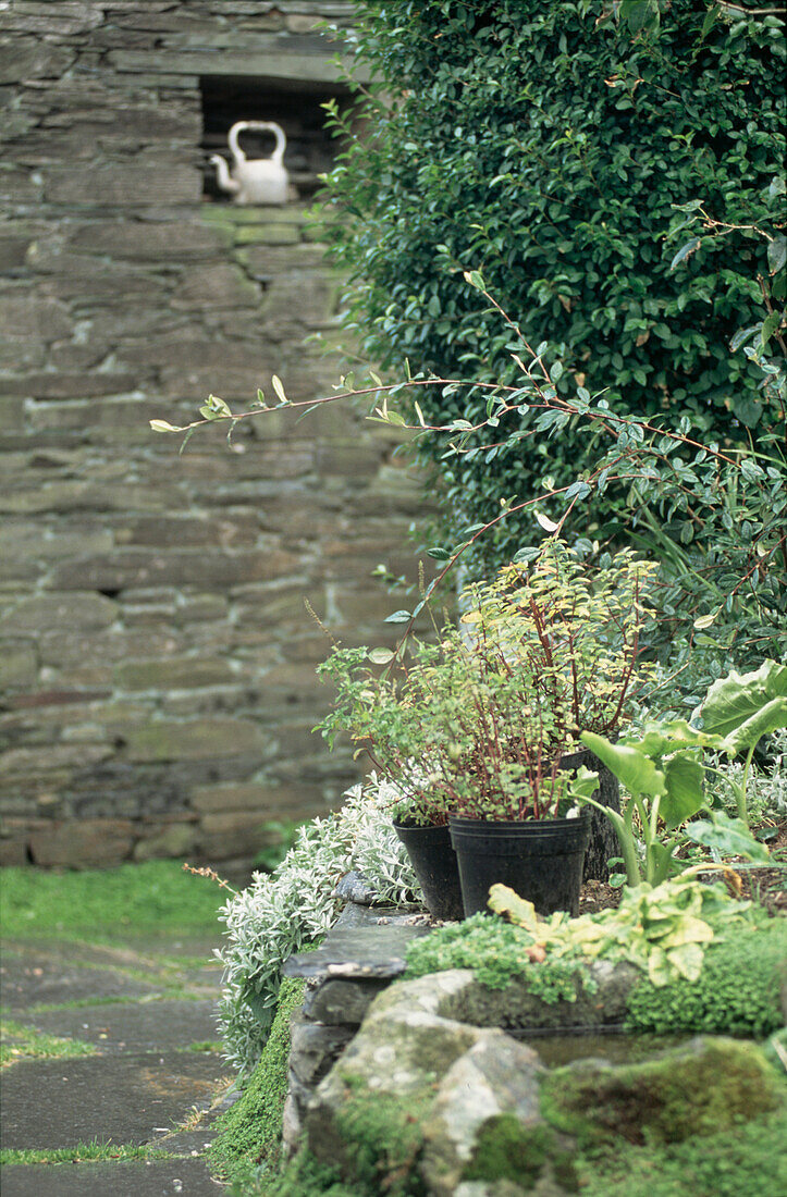 Garden rockery with stone wall