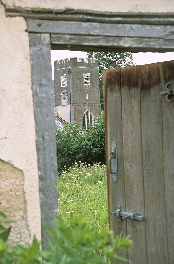 Abandoned garden with view of clock tower