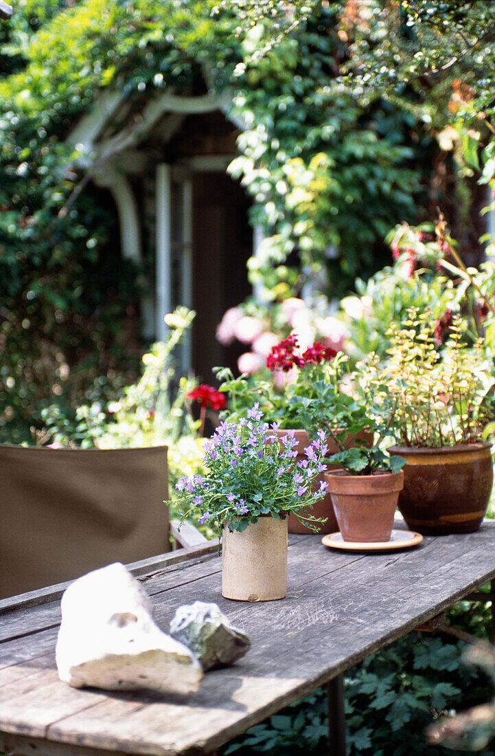 Topfpflanzen auf einem Gartentisch im Freien in Suffolk