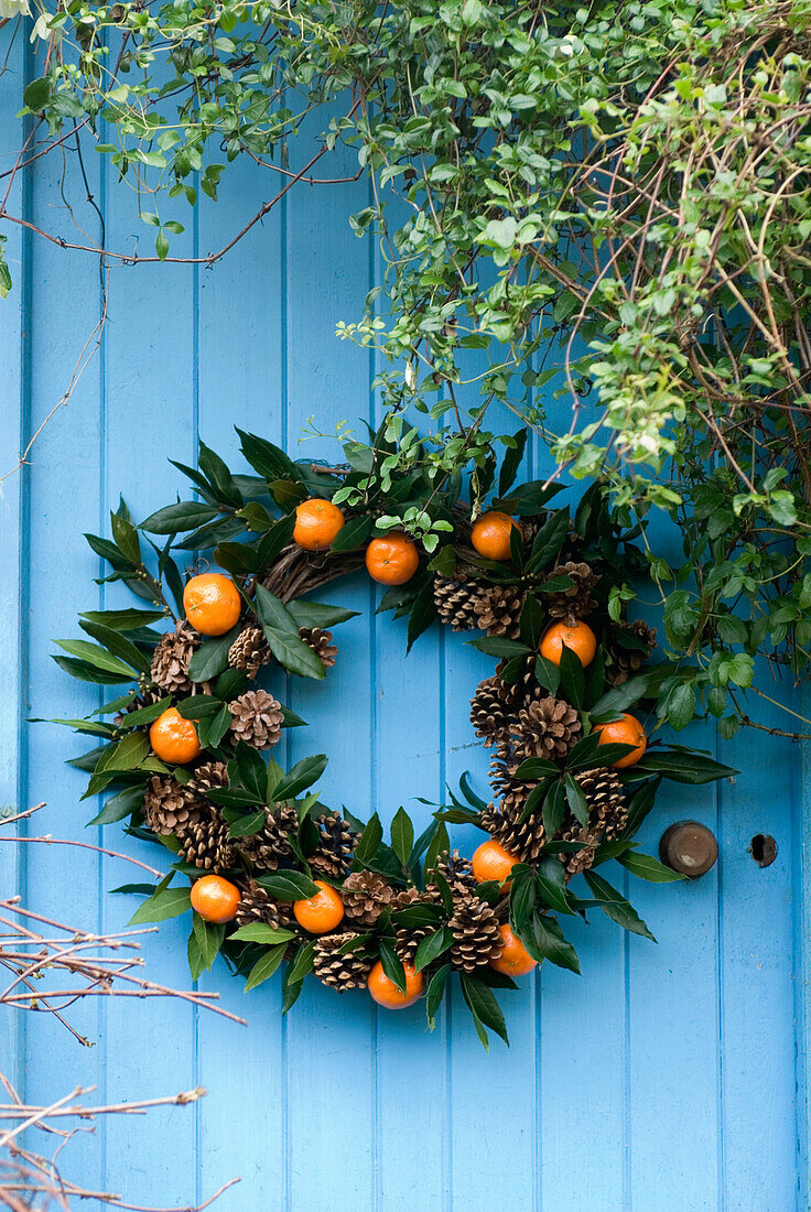 Lorbeer- und Tannenzapfen-Weihnachtskranz mit Orangen an einer rustikalen blauen Tür