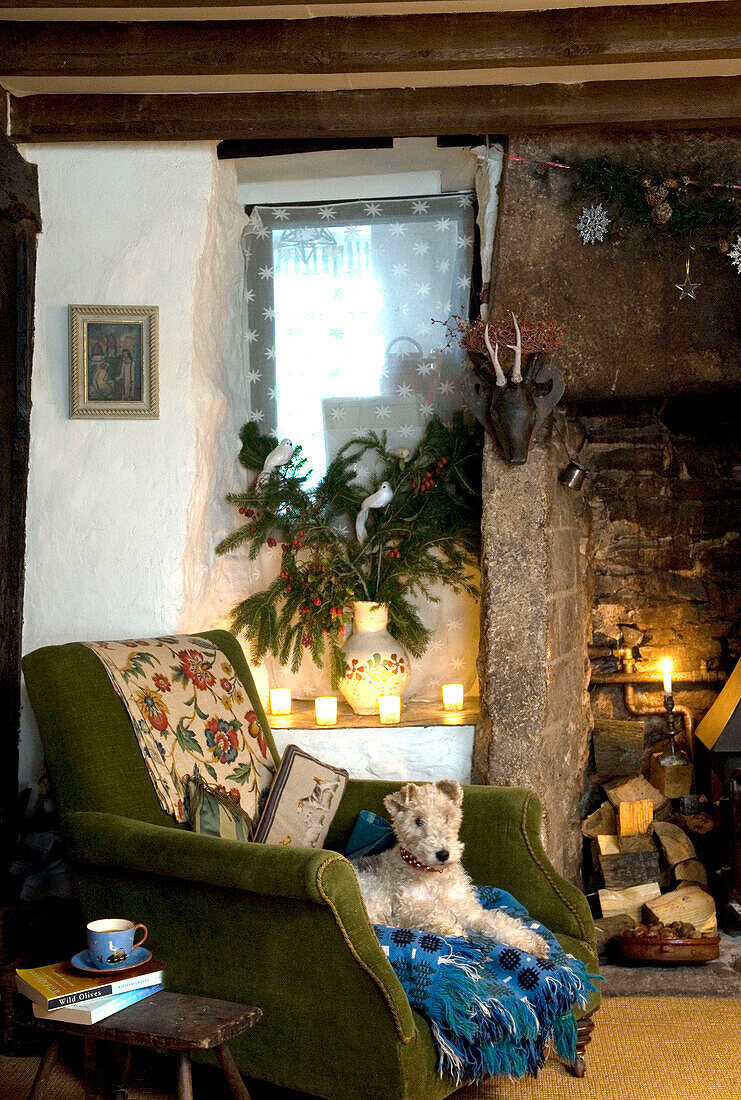 Foxterrier-Hund in einem Sessel vor dem Kamin mit Kerzen