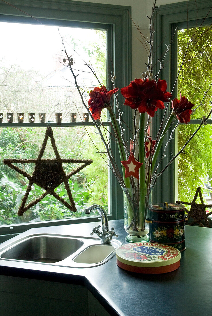 Red Christmas flowers and sink on kitchen corner unit