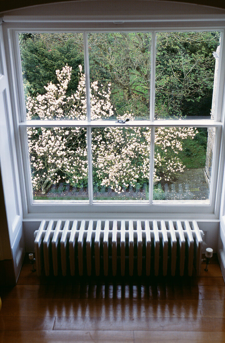 Heizkörper am palladianischen Fenster mit Blick auf den Garten mit Sommerblumen