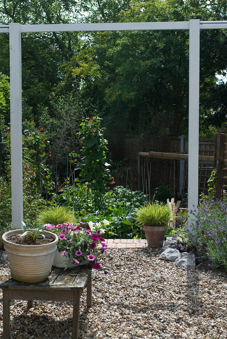 Back garden with vegetable plot and gravel area with Petunias and lavender